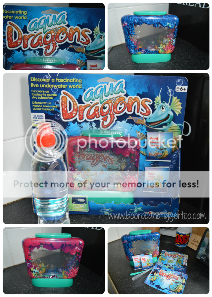 REVIEW Aqua Dragons Boo Roo and Tigger Too